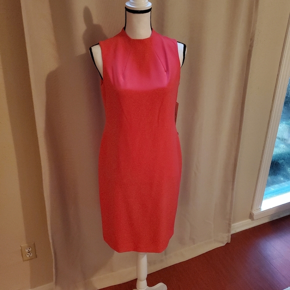 New Dress - Picture 6 of 6